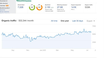SEO Backlinks